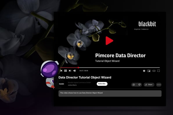 Neues Data Director Tutorial: Effizientere Prozesse in der Datenpflege dank Object Wizards-Formularen