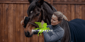 Bense & Eicke Logo, im Hintergrund streicht eine Frau mit einer Bürste über das Gesicht eines Pferdes
