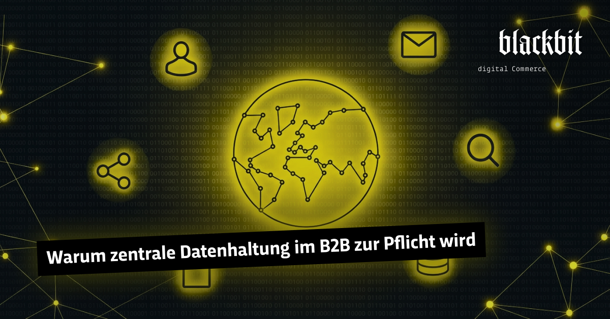 Eine Grafik zeigt ein vernetztes Globus-Symbol, das die Bedeutung zentraler Datenhaltung im B2B-Bereich hervorhebt.