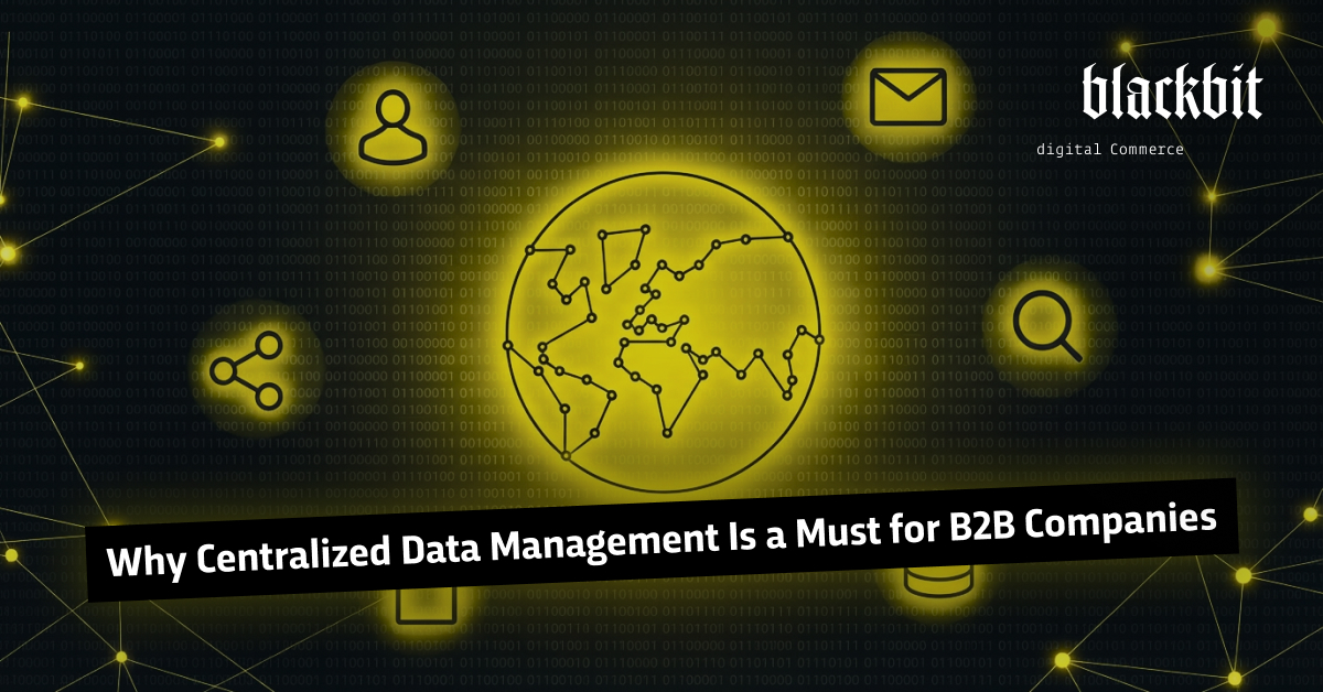 Графік показує мережевий символ глобуса, який підкреслює важливість централізованого зберігання даних у сфері B2B.