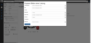 Screenshot Pimcore-Bildbearbeitung.