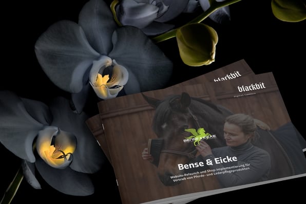 The Blackbit Case Study Bense & Eicke: Website relaunch with visionary online store
