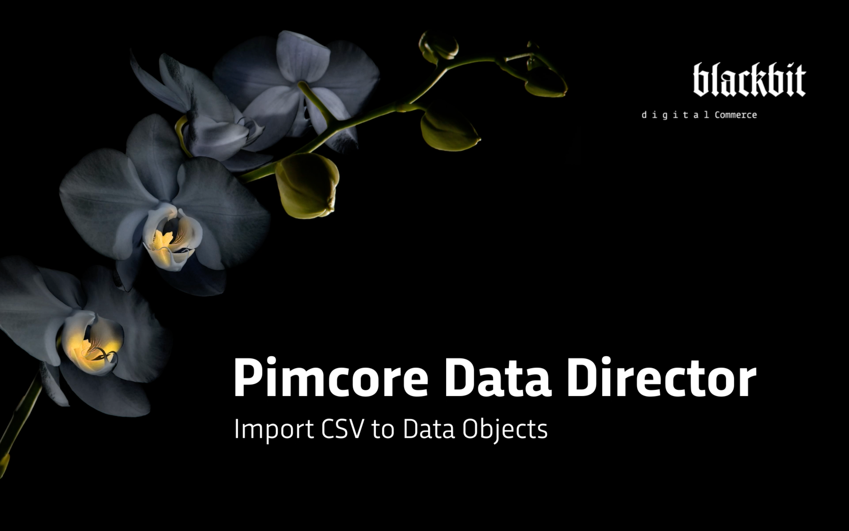 Blackbit Data Director for Pimcore- Import CSV to E-Commerce Data Objects