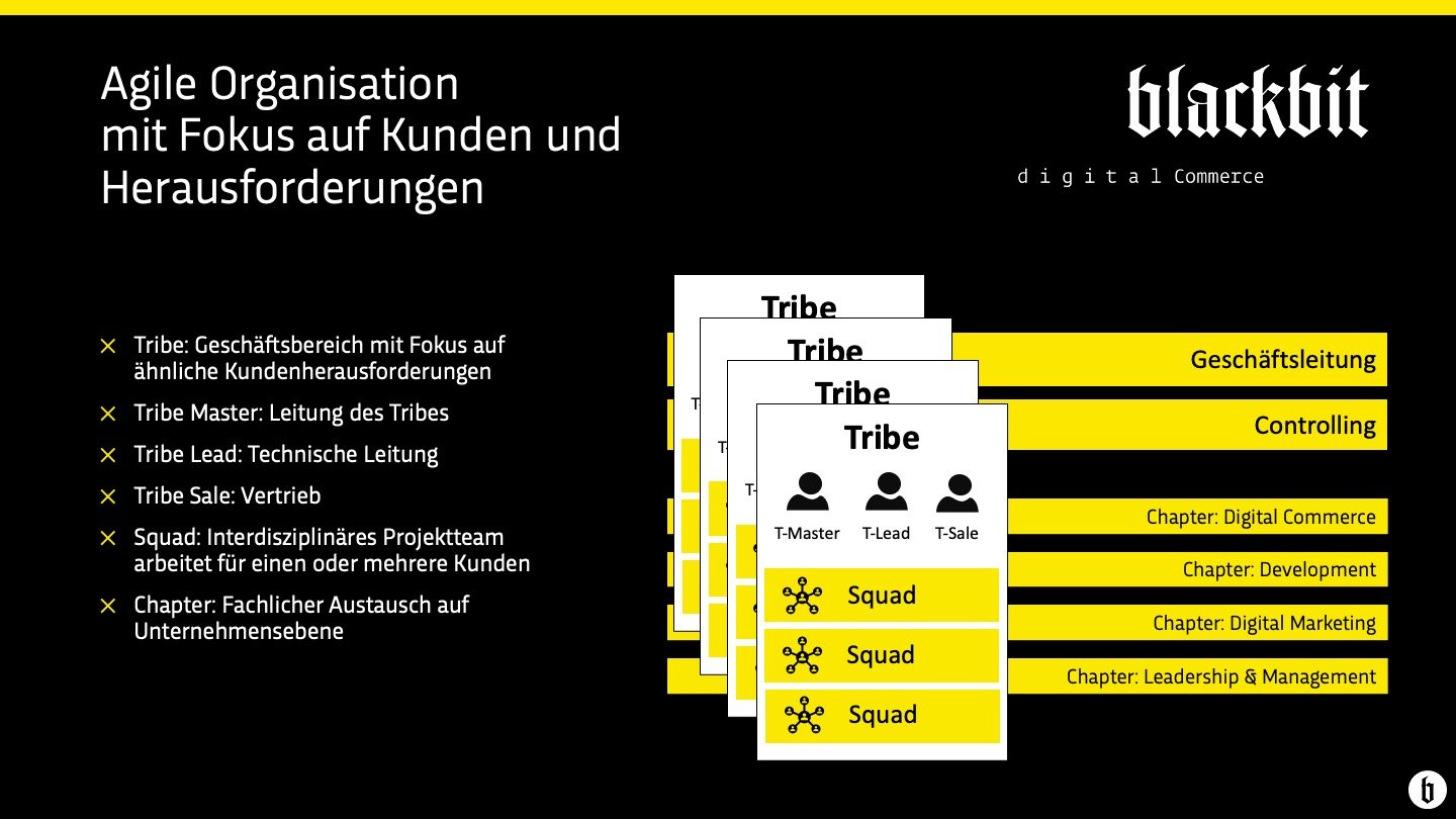 Agile Organisation mit Fokus auf Kunden und Herausforderungen – Blackbit