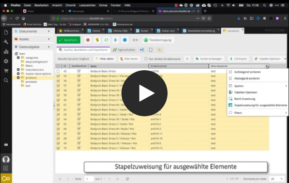 Steigern Sie Ihre Produktivität mit Pimcore 5.6