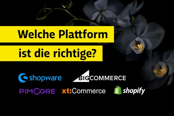 Which e-commerce platform or online store is the fitting one?