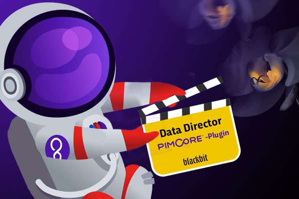 The Pimcore Data Director video tutorial on Optimize Inheritance & Deploy Dataports features