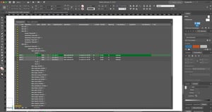 Screenshot InDesign palette in tabular view