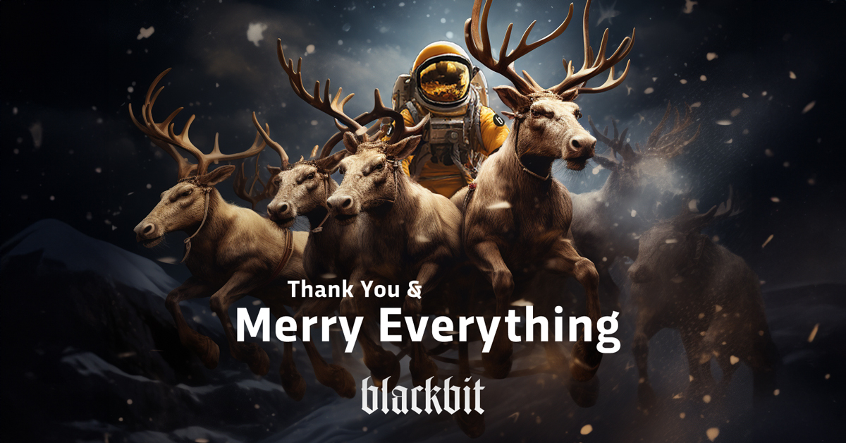 Blackbit wünscht Ihnen erholsame Feiertage und einen guten Rutsch!